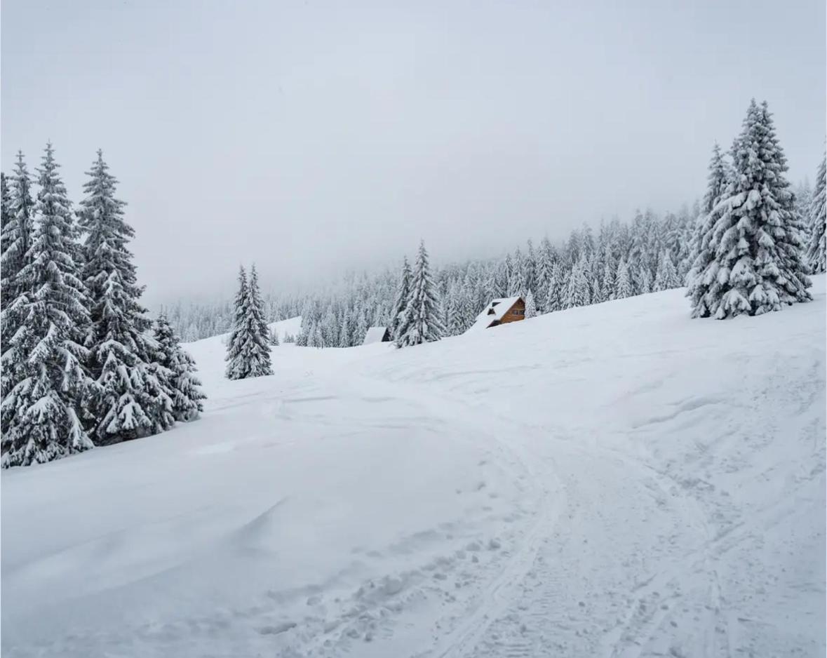 Dom Wypoczynkowy Pod Polanka Korbielów Esterno foto