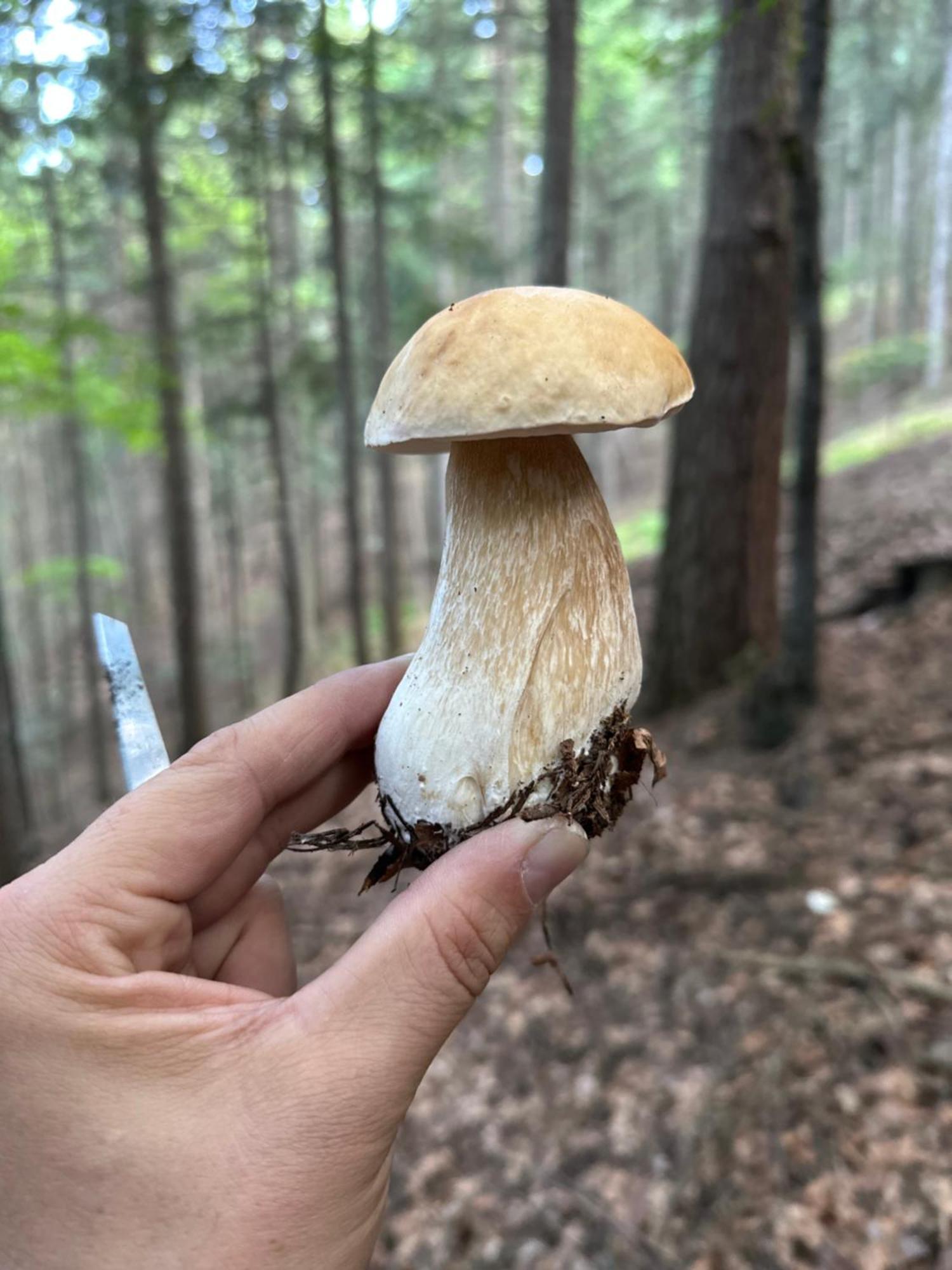 Dom Wypoczynkowy Pod Polanka Korbielów Esterno foto