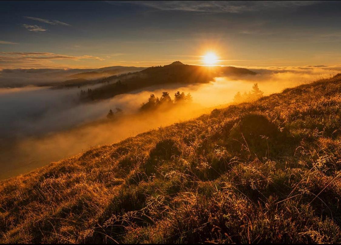 Dom Wypoczynkowy Pod Polanka Korbielów Esterno foto