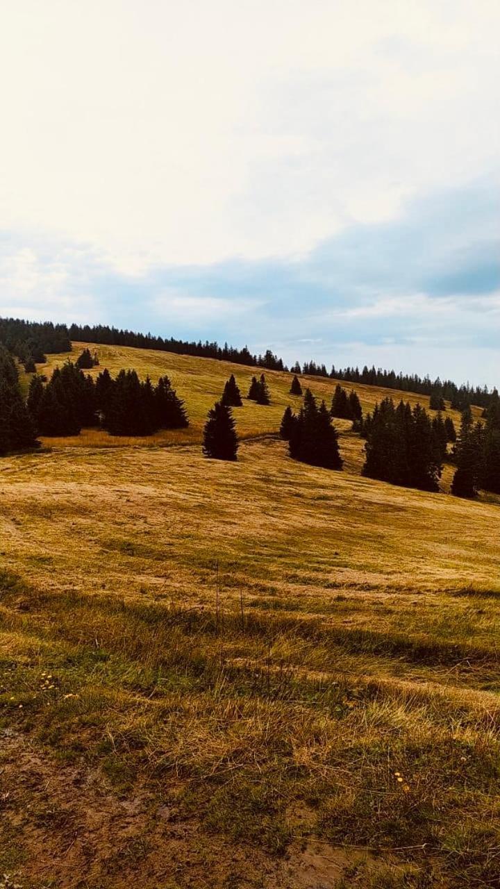 Hotel Dom Wypoczynkowy Pod Polanka Korbielów Esterno foto