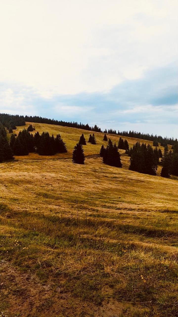 Dom Wypoczynkowy Pod Polanka Korbielów Esterno foto