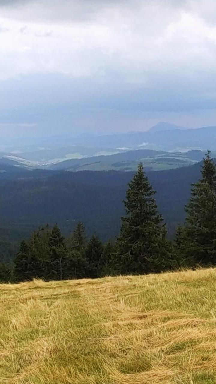 Dom Wypoczynkowy Pod Polanka Korbielów Esterno foto