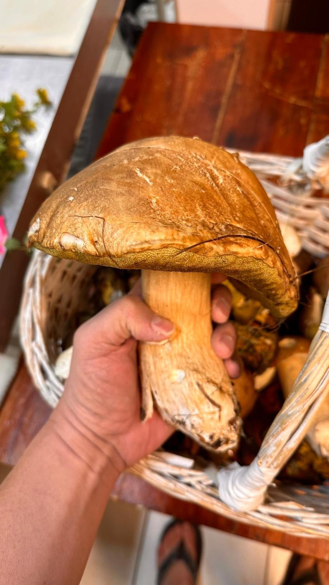 Dom Wypoczynkowy Pod Polanka Korbielów Esterno foto