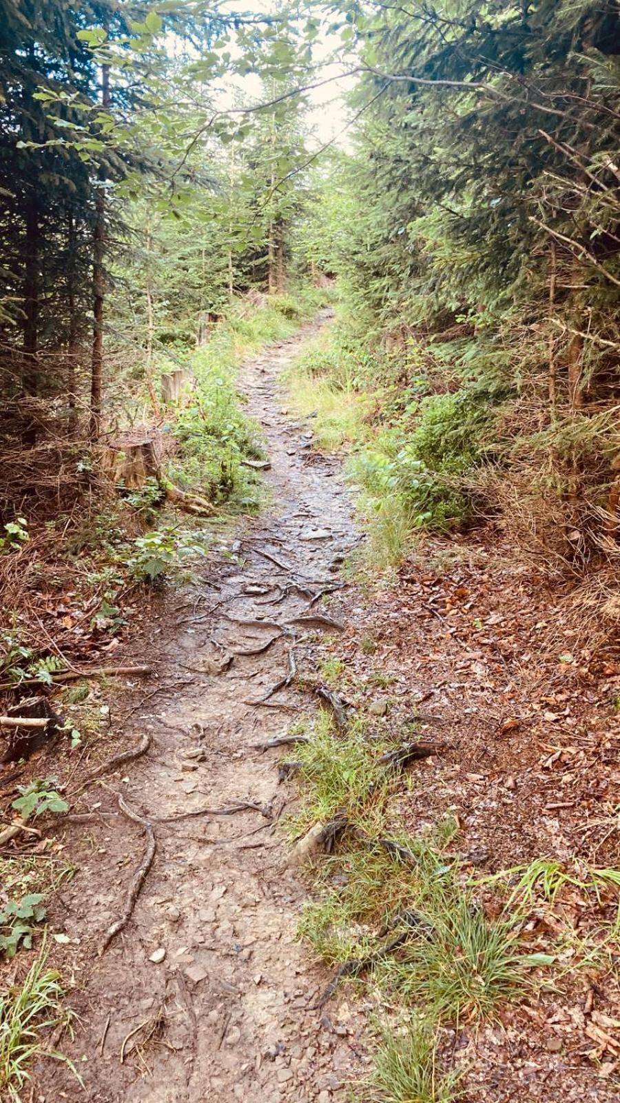 Dom Wypoczynkowy Pod Polanka Korbielów Esterno foto