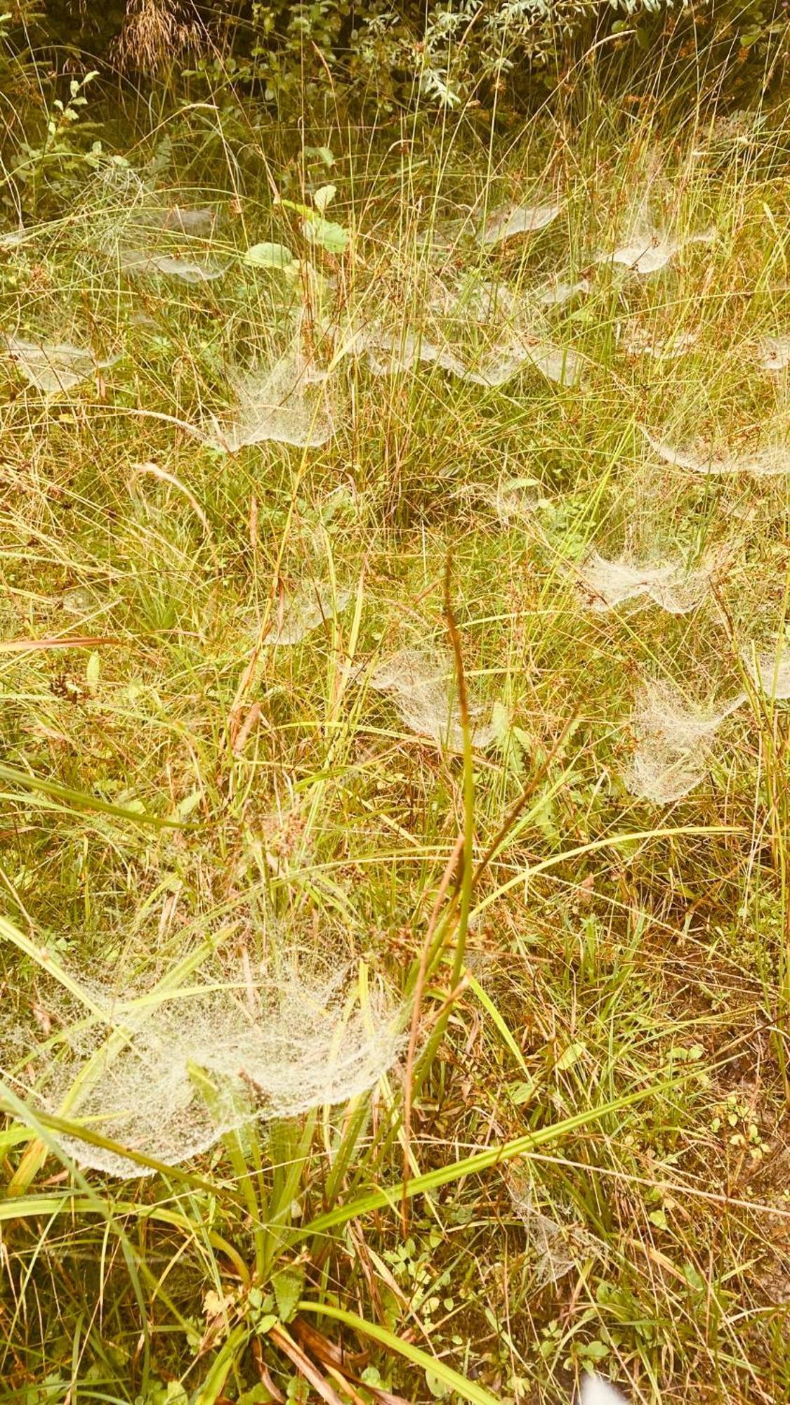 Dom Wypoczynkowy Pod Polanka Korbielów Esterno foto